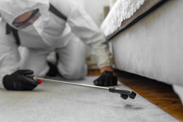 Professional Cockroach Control technician working in Atkins, IA